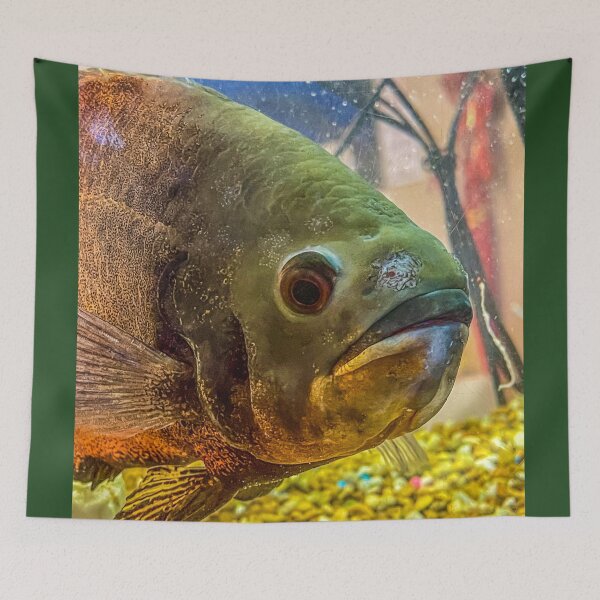 Item preview, Pacu Fish Close-Up – Freshwater Aquarium Portrait with Surreal Texture designed and sold by aadventures.