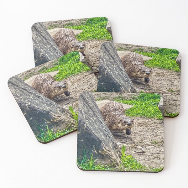 Item preview, Otter Walking on Land – Curious Wildlife Moment Photography designed and sold by aadventures.