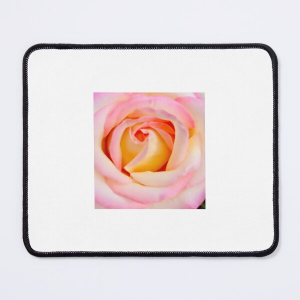 Item preview, Peach Rose  designed and sold by ROSENDE ART HOUSE.