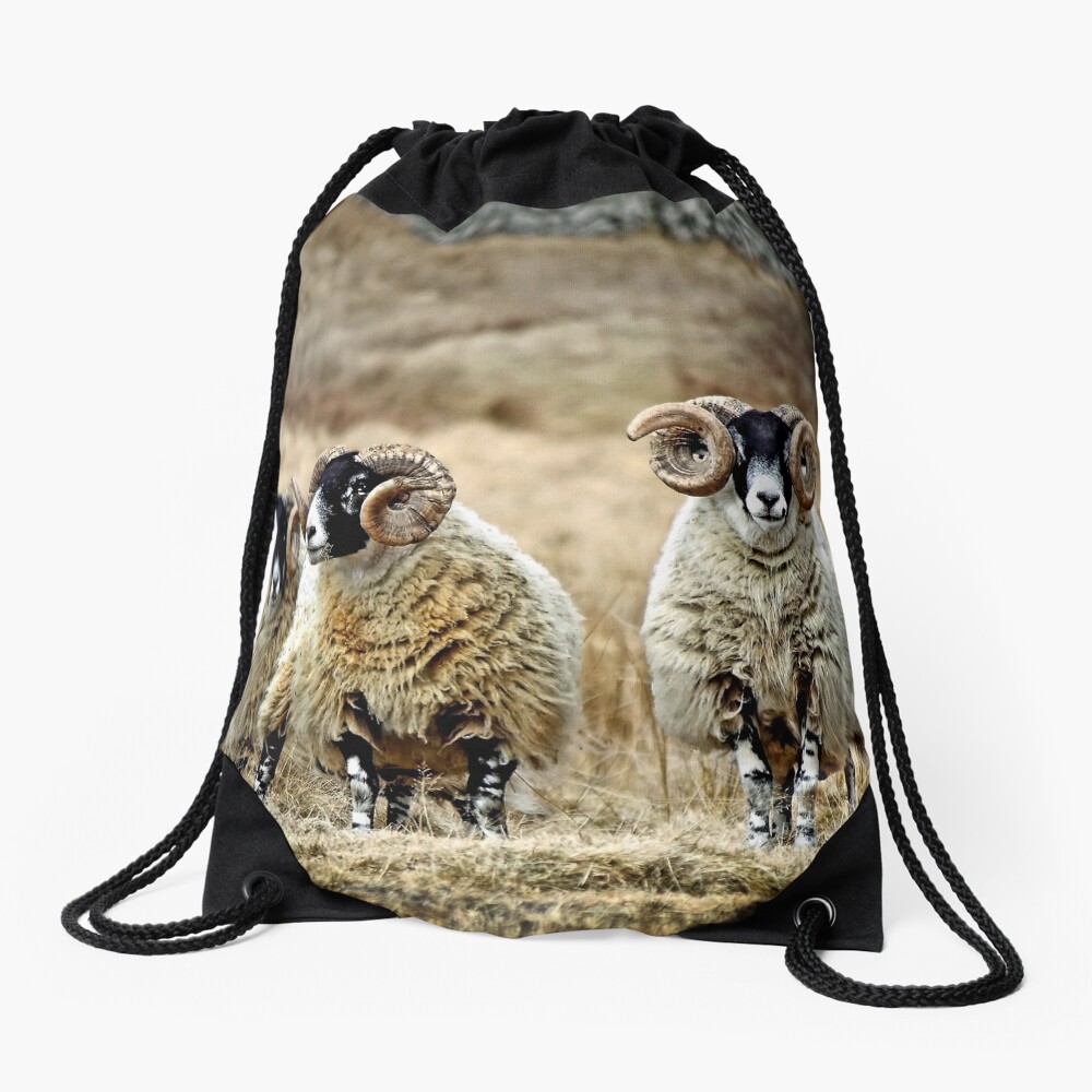 Item preview, Drawstring Bag designed and sold by Coigach.