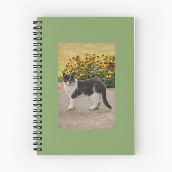 Aperçu de l'œuvre Sentinelle d'été créée et vendue par Glasswings & Clover.