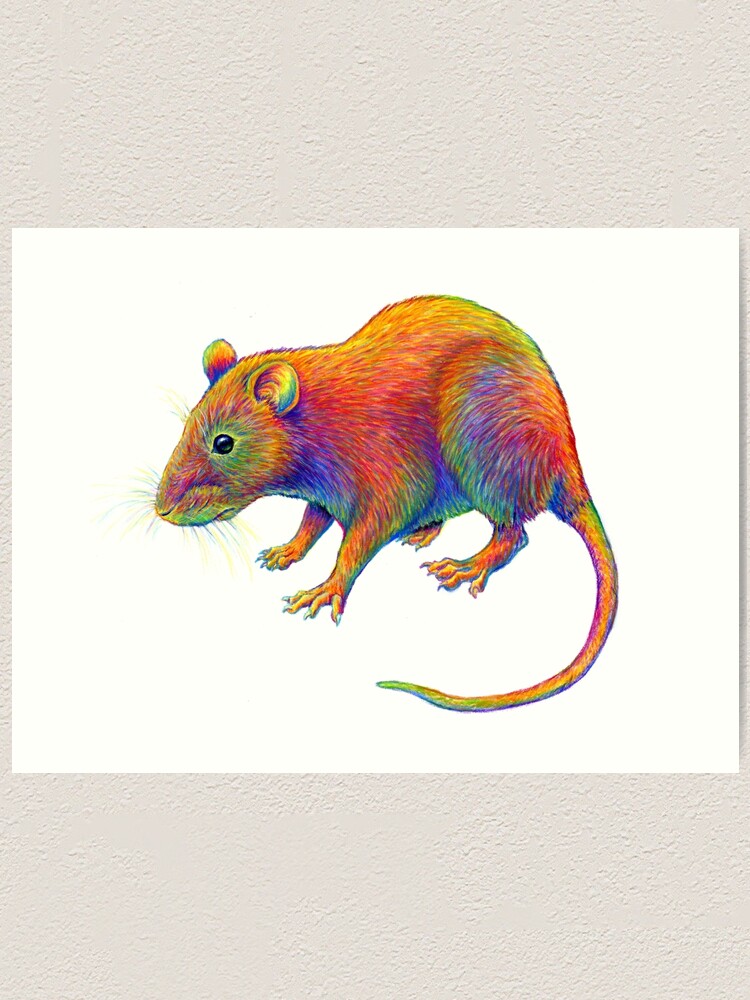 Alternate view of Psychedelic Rainbow Rat Art Print