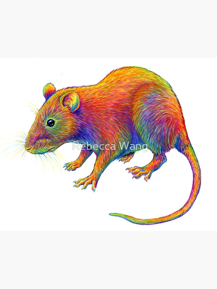 Psychedelic Rainbow Rat by lioncrusher