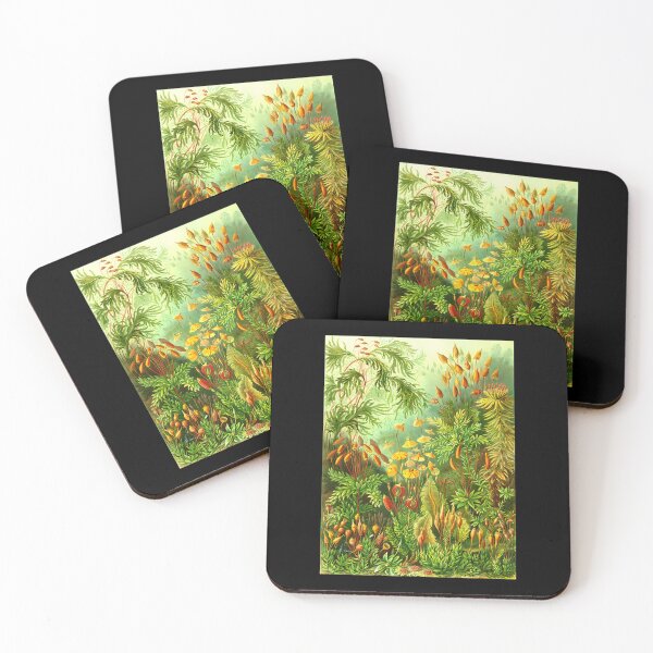 Item preview, Vintage Botanical Moss And Fern Illustration designed and sold by snbavrey64.
