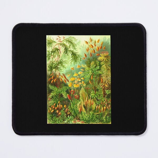 Item preview, Vintage Botanical Moss And Fern Illustration designed and sold by snbavrey64.