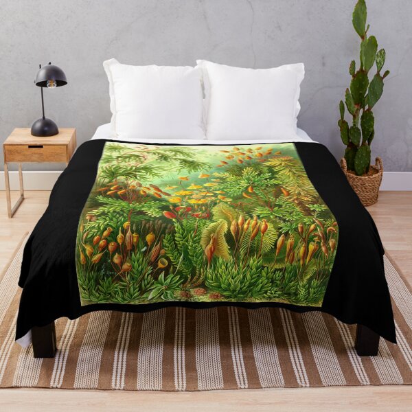 Item preview, Vintage Botanical Moss And Fern Illustration designed and sold by snbavrey64.