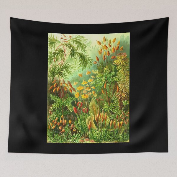 Item preview, Vintage Botanical Moss And Fern Illustration designed and sold by snbavrey64.