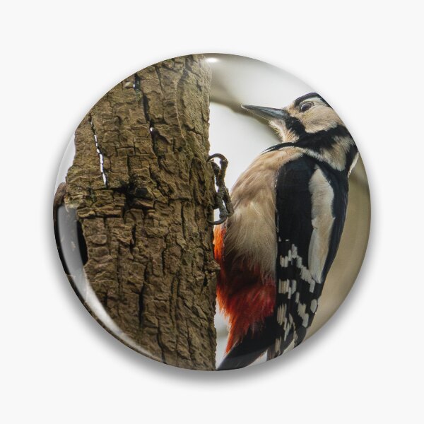 Item preview, Great spotted woodpecker (Dendrocopos major) designed and sold by Stephen Jarman.