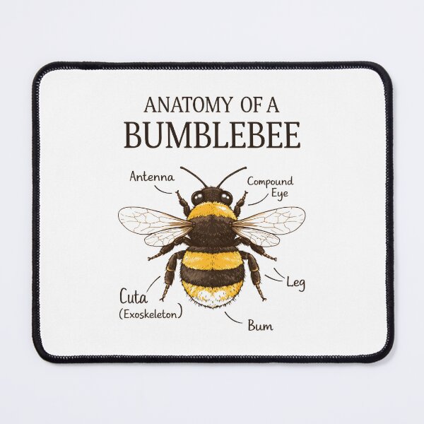 Item preview, Anatomy of A Bumble bee designed and sold by JODYSMORGAN.