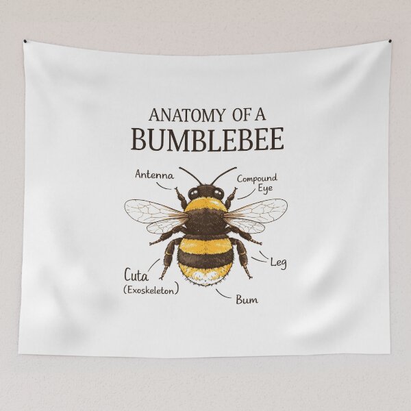 Item preview, Anatomy of A Bumble bee designed and sold by JODYSMORGAN.