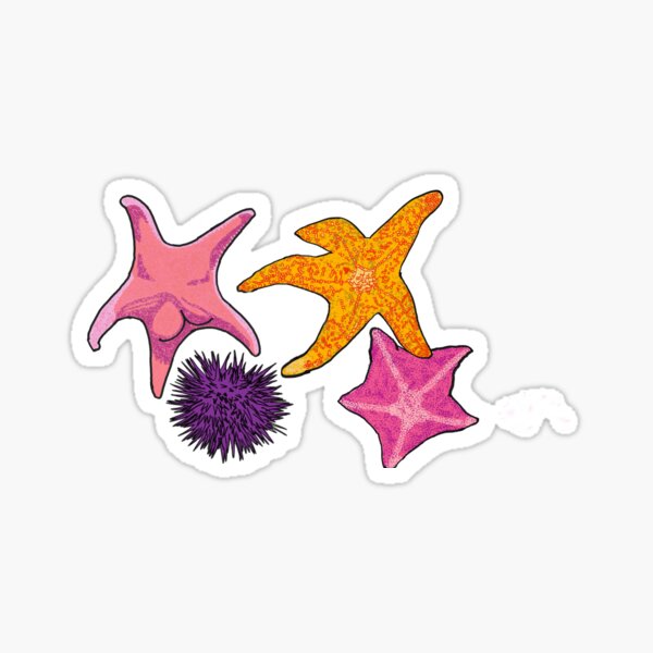 Tide pool friends Sticker