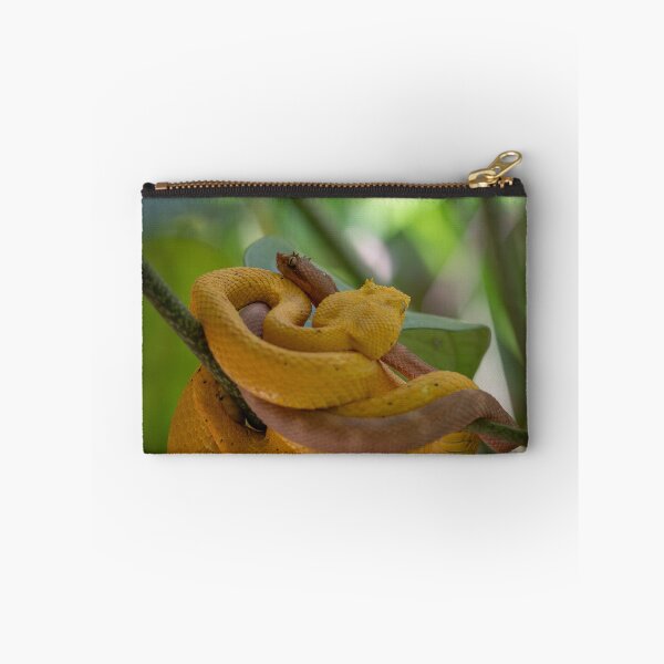 Item preview, Golden Eyelash Vipers Coiled on Branch – Tropical Rainforest Snake Wildlife Photography designed and sold by WildFrameNature.
