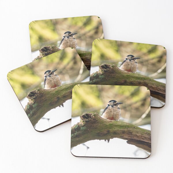 Item preview, Great spotted woodpecker (Dendrocopos major)  designed and sold by Stephen Jarman.