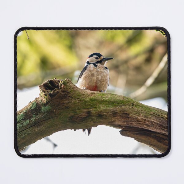 Item preview, Great spotted woodpecker (Dendrocopos major) designed and sold by Stephen Jarman.