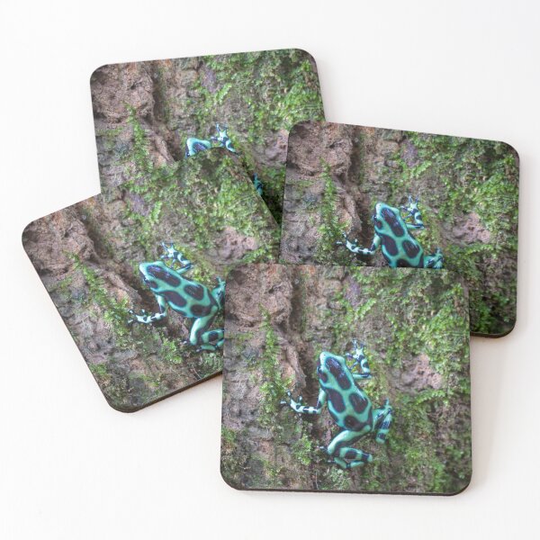 Item preview, Blue Poison Dart Frog on Tree Bark – Tropical Rainforest Amphibian Photography designed and sold by WildFrameNature.