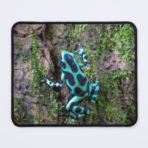 Item preview, Blue Poison Dart Frog on Tree Bark – Tropical Rainforest Amphibian Photography designed and sold by WildFrameNature.