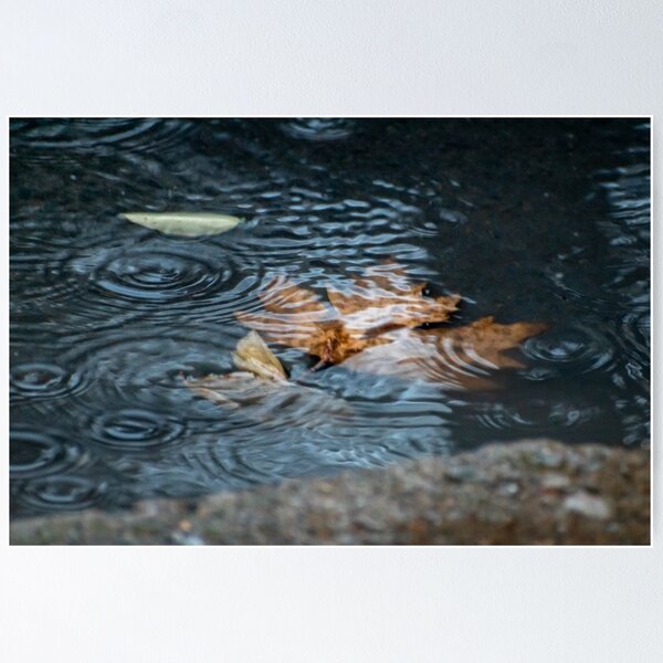Item preview, Minimalist Autumn Leaf in a Rain Puddle designed and sold by VickyVickoula.