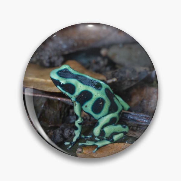 Item preview, Green Poison Dart Frog on Forest Floor – Tropical Rainforest Amphibian Photography designed and sold by WildFrameNature.