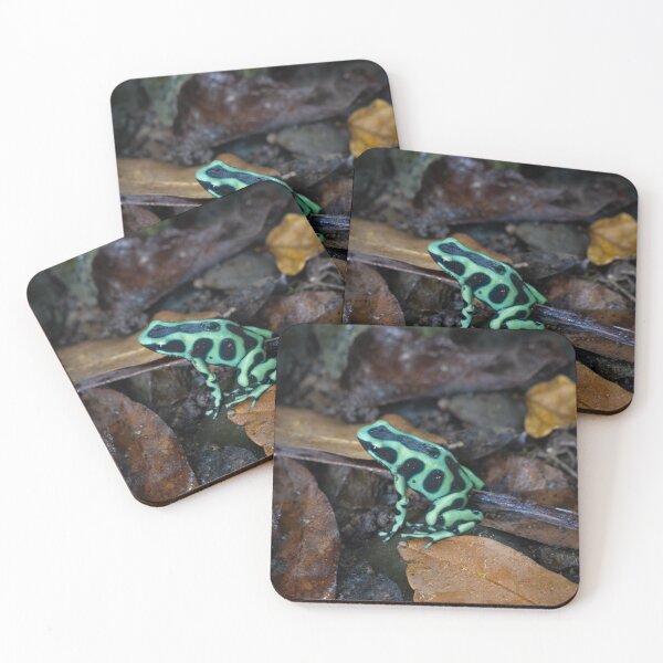 Item preview, Green Poison Dart Frog on Forest Floor – Tropical Rainforest Amphibian Photography designed and sold by WildFrameNature.