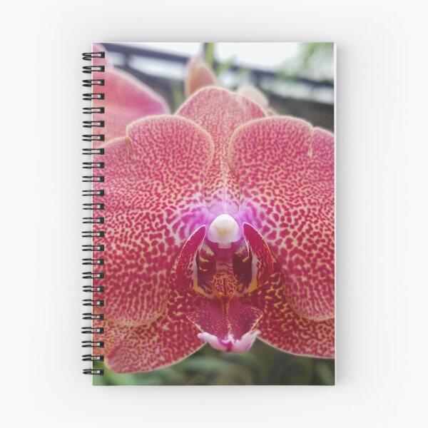 Item preview, Orchid rare spotted designed and sold by CanaryPrison.