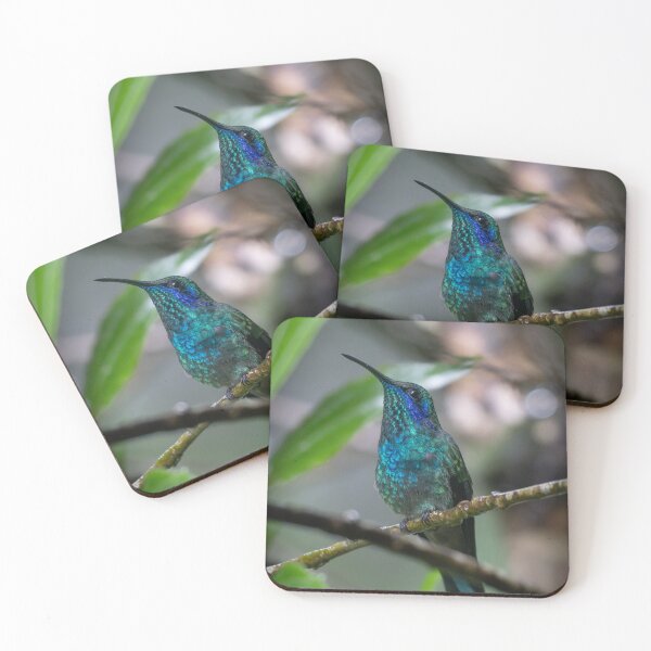 Item preview, Colorful Hummingbird on Branch – Tropical Bird Wildlife Photography designed and sold by WildFrameNature.