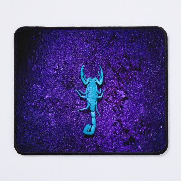 Item preview, Glowing Scorpion Under UV Light – Fluorescent Night Wildlife Photography designed and sold by WildFrameNature.