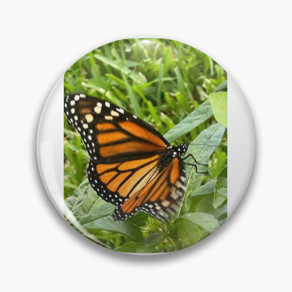 Item preview, Monarch Butterfly designed and sold by ROSENDE ART HOUSE.