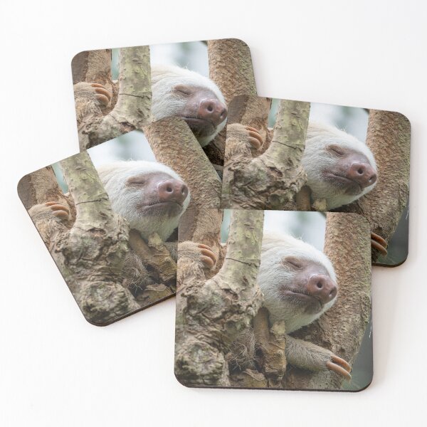 Item preview, Sleeping Sloth in Tree – Peaceful Tropical Wildlife Photography designed and sold by WildFrameNature.