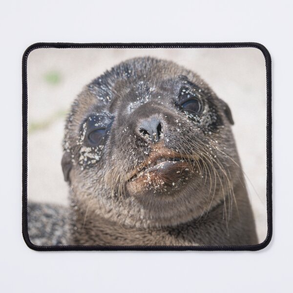 Item preview, Funny Seal Close-Up – Cute Sea Lion Face Wildlife Photography designed and sold by WildFrameNature.
