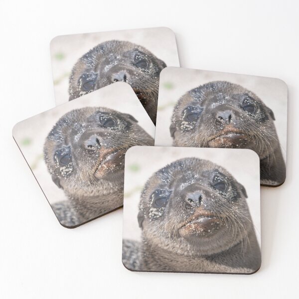 Item preview, Funny Seal Close-Up – Cute Sea Lion Face Wildlife Photography designed and sold by WildFrameNature.