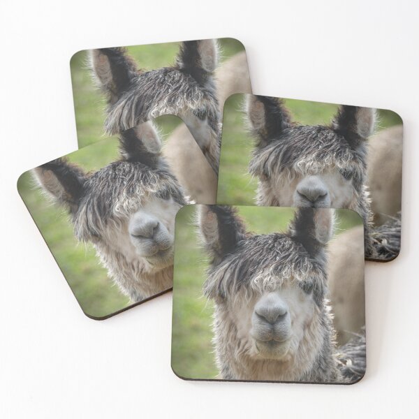 Item preview, Funny Llama Portrait – Cute Alpaca Face Animal Photography designed and sold by WildFrameNature.