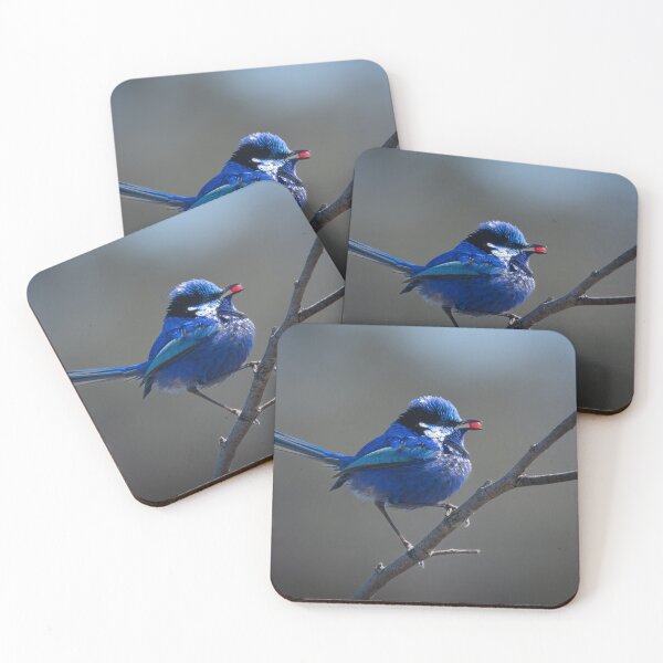 Item preview, Bright Blue Bird on Branch – Colorful Wildlife Photography designed and sold by WildFrameNature.