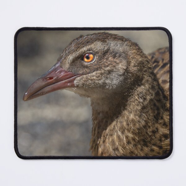 Item preview, Brown Bird Close-Up – Wildlife Portrait Photography designed and sold by WildFrameNature.