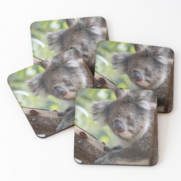 Item preview, Cute Koala in Tree – Adorable Wildlife Photography designed and sold by WildFrameNature.