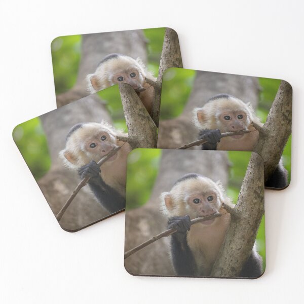 Item preview, Cute Baby Monkey Holding Branch – Adorable Wildlife Photo designed and sold by WildFrameNature.
