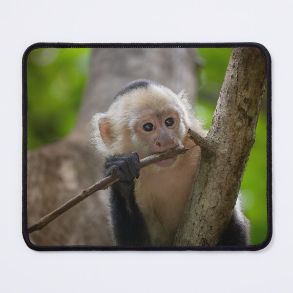 Item preview, Cute Baby Monkey Holding Branch – Adorable Wildlife Photo designed and sold by WildFrameNature.