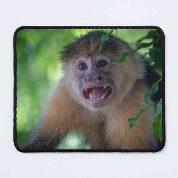 Item preview, Funny Monkey Face Close-Up – Cute Wildlife Expression designed and sold by WildFrameNature.