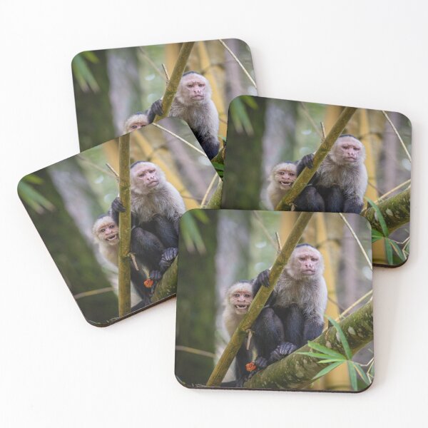 Item preview, Monkey Family on Bamboo – Wildlife Nature Photography designed and sold by WildFrameNature.