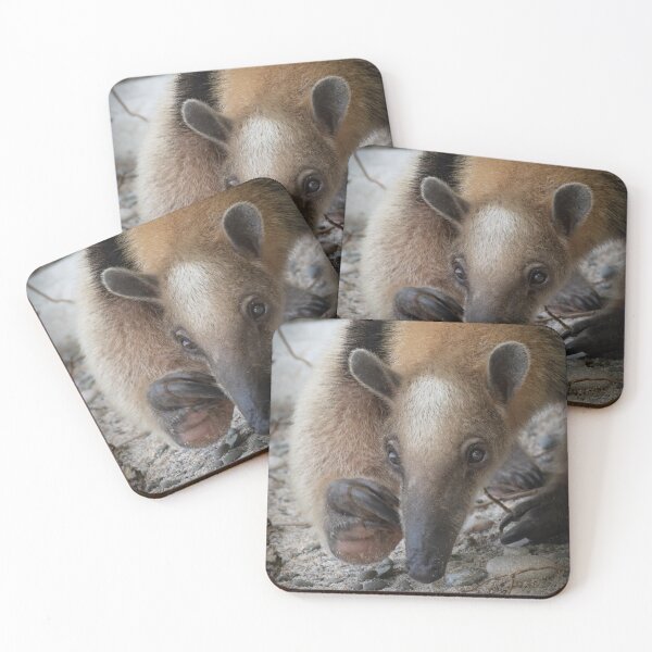 Item preview, Curious Anteater Close-Up – Unique Wildlife Photography designed and sold by WildFrameNature.