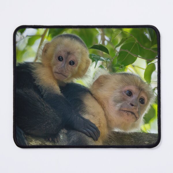 Item preview, Mother Monkey with Baby on Tree – Cute Wildlife Moment designed and sold by WildFrameNature.