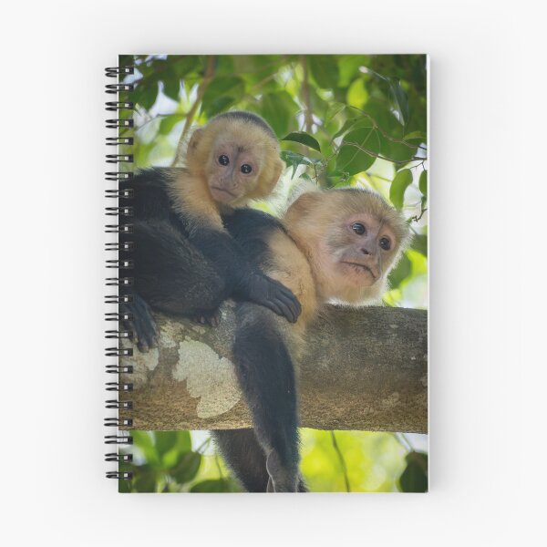 Item preview, Mother Monkey with Baby on Tree – Cute Wildlife Moment designed and sold by WildFrameNature.