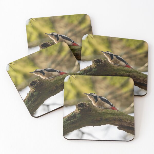 Item preview, Great spotted woodpecker (Dendrocopos major)  designed and sold by Stephen Jarman.