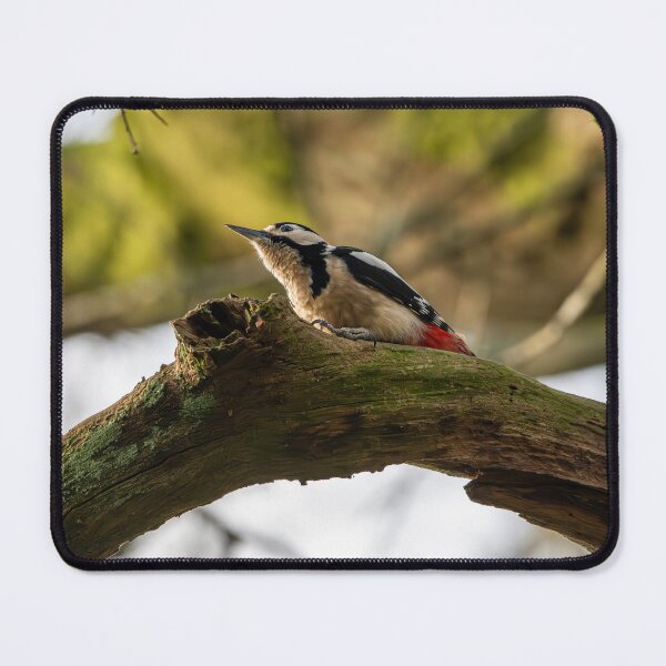 Item preview, Great spotted woodpecker (Dendrocopos major) designed and sold by Stephen Jarman.