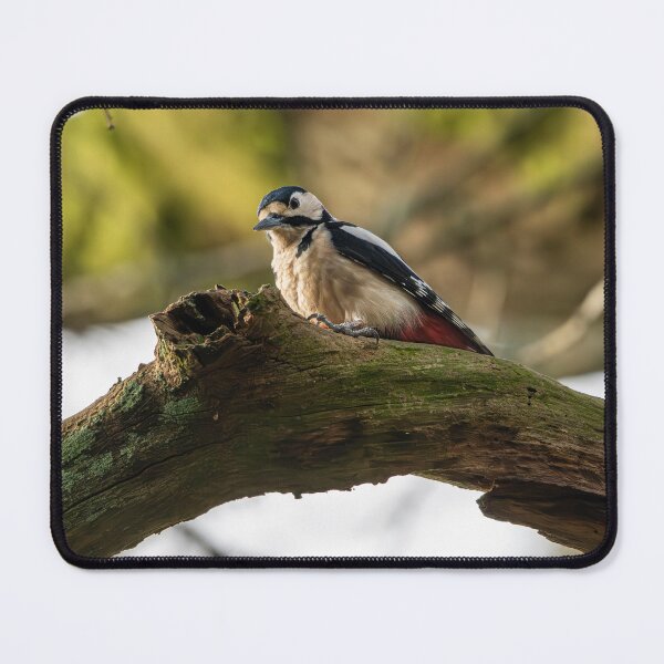 Item preview, Great spotted woodpecker (Dendrocopos major) designed and sold by Stephen Jarman.