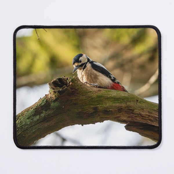 Item preview, Great spotted woodpecker (Dendrocopos major) designed and sold by Stephen Jarman.