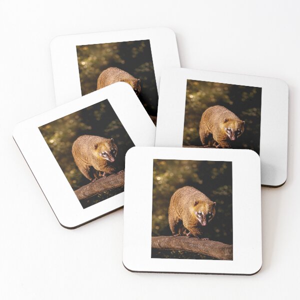 Item preview, Coati (anteater) in the nighttime spotlight designed and sold by Tammigrafie.