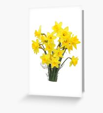 Flowers of spring Greeting Card