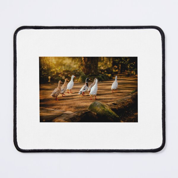 Item preview, Quack Parade: Ducks Waddle Down Golden Forest Path designed and sold by Tammigrafie.