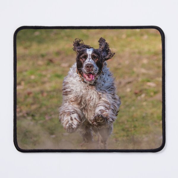 Item preview, Happy English Springer Spaniel dog running and playing  designed and sold by ART-SUNRISE.