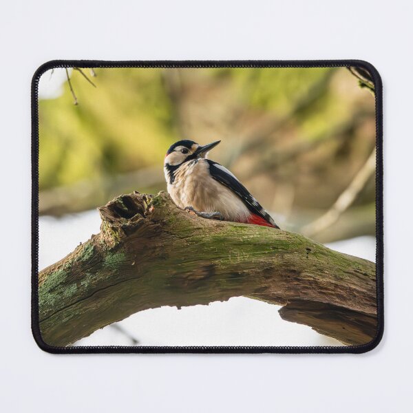 Item preview, Great spotted woodpecker (Dendrocopos major) designed and sold by Stephen Jarman.